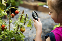 Young Gardener of the Year Award