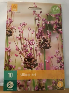 Allium Art