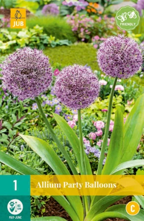 Allium Party Balloons