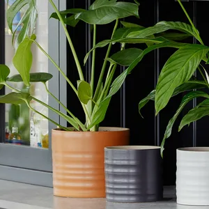 Amber 'Hadleigh' Ivyline Plant Pot 17cm