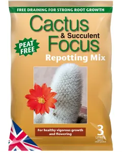 Cactus & Succulent Focus Repotting Mix Peat Free 3L