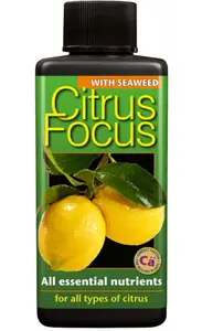 Citrus Focus 300ml