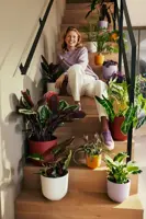 Elho Jazz Collection