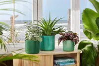 Elho Ocean Collection