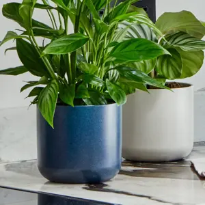 French Navy 'Lisbon' Ivyline Plant Pot 15cm