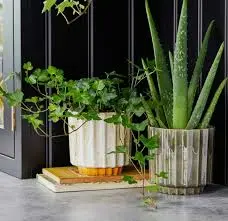 Green 'Lugano' Scalloped Ivyline Plant Pot 13cm