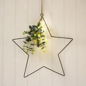 Hanging Eucalyptus LED Star