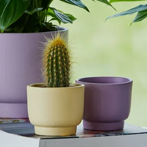 Lemon Pastel 'Molla' Cacti Ivyline Plant Pot 13cm