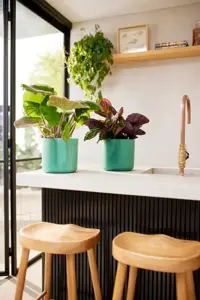 Pacific Green 'Ocean Elho Plant Pot