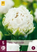 Tulip Snow Crystal