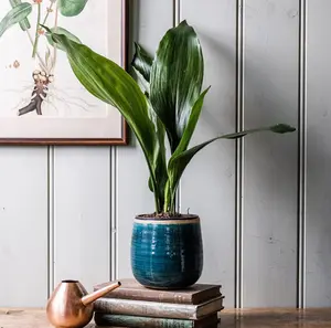 Turquoise 'Como' Ivyline Plant Pot 14cm