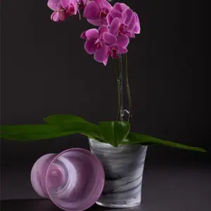 Violet 'Orchid' Ivyline Plant Pot 14.5cm